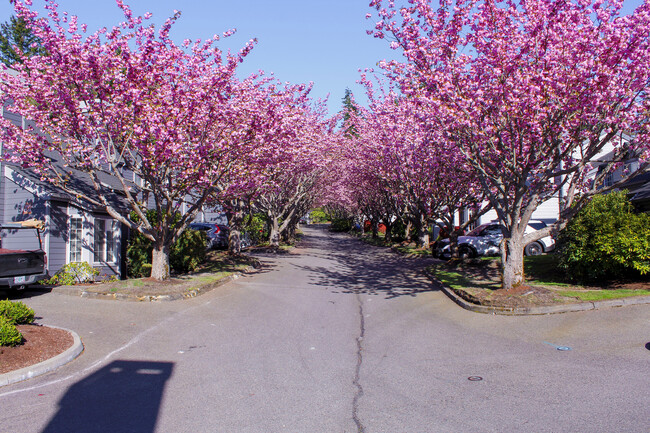 Water's Edge Townhomes - Apartments in Tacoma, WA | Apartments.com