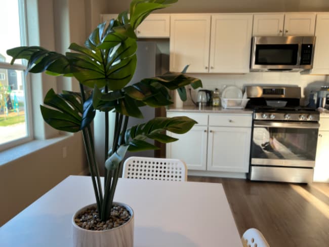 Foto del edificio - 5235 Aeroglide Lp