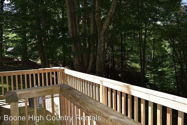 166 Trinity Ridge Ln Banner Elk Nc 28604 House For Rent In