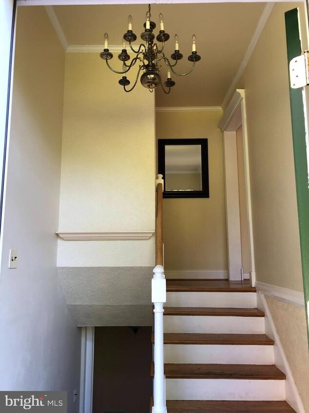 2590 Rambling Rd, Vienna, VA 22181 House for Rent in Vienna, VA