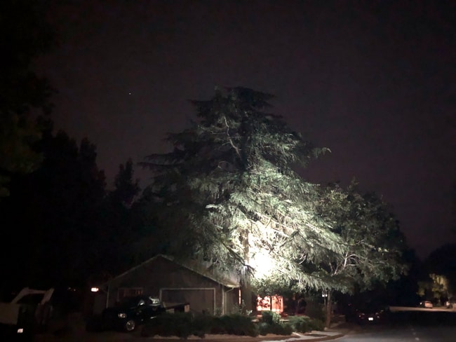 Building Photo - 906 Sycamore Ln