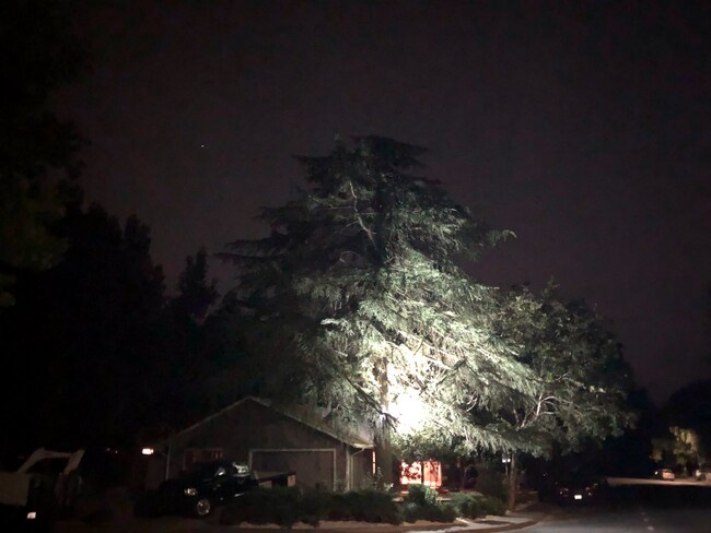 Foto del edificio - 906 Sycamore Ln