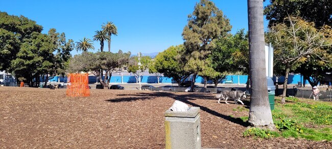 Westminster Dog Park - 49 Westminster Ave