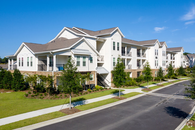 Foto del edificio - The Grove at Carolina Park