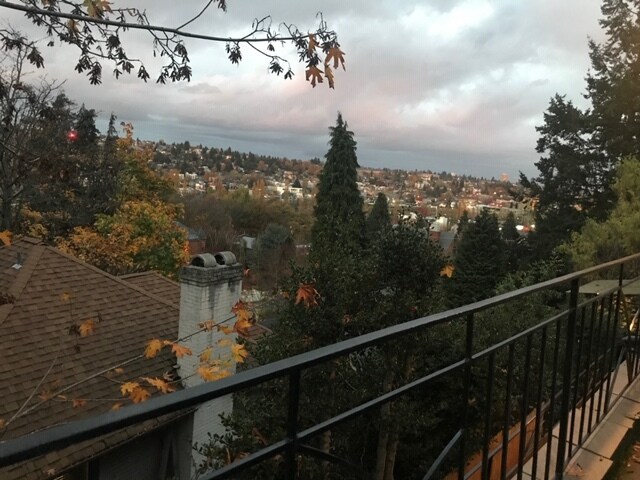 ¡Vistas desde tu terraza y desde la puerta de entrada! - 3036 5th Ave W