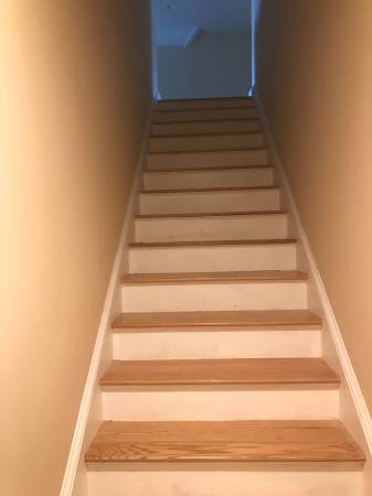 Stairs - 11 Richmond Ave