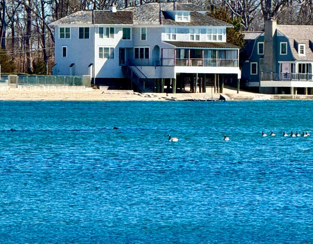Foto principal - 66 Compo Mill Cove