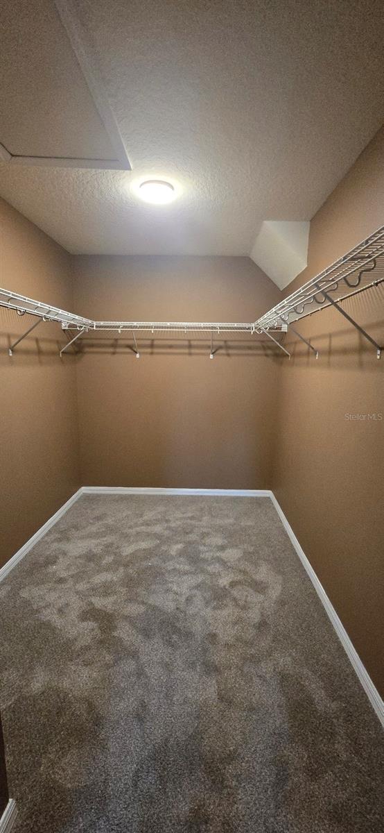 Foto del edificio - 1 Pecan Course Ct