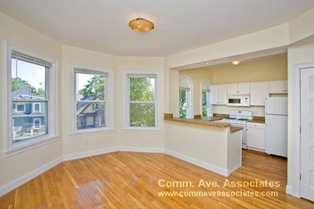 Primary Photo - 53 Ashford St