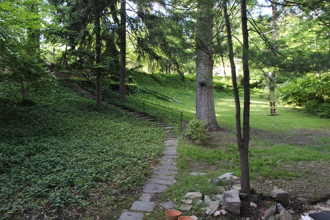 Front Yard - 2948 Albemarle St NW