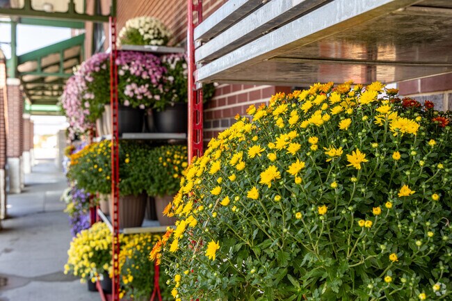 Local stores in West A sell flowers to beautify your home.