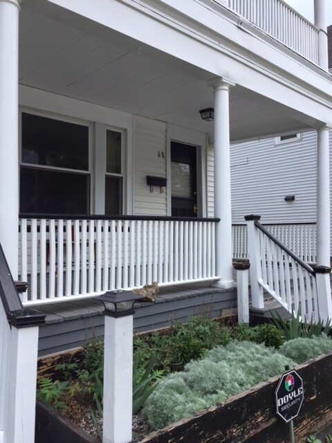 Primary Photo - 68 Vassar St