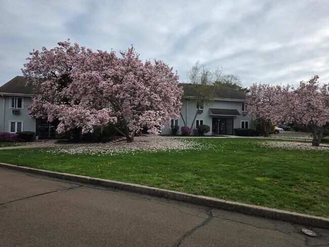 Building Photo - 103 Florence Rd