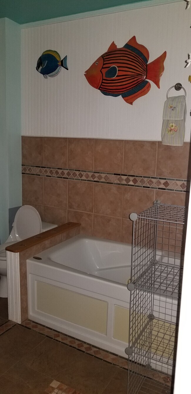 Bathtub - 8 Peckham Ave