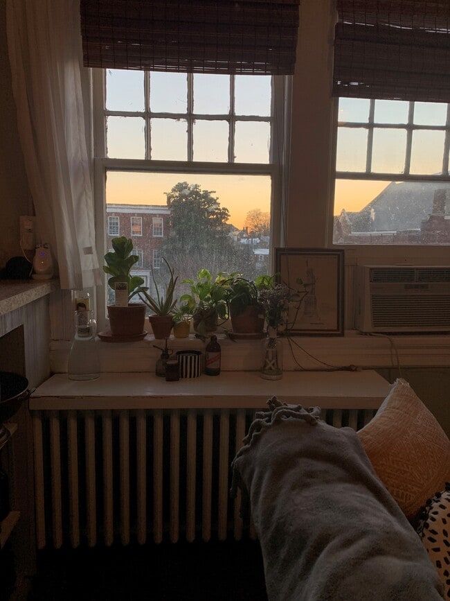 Living Room View - 1614 Monument Ave