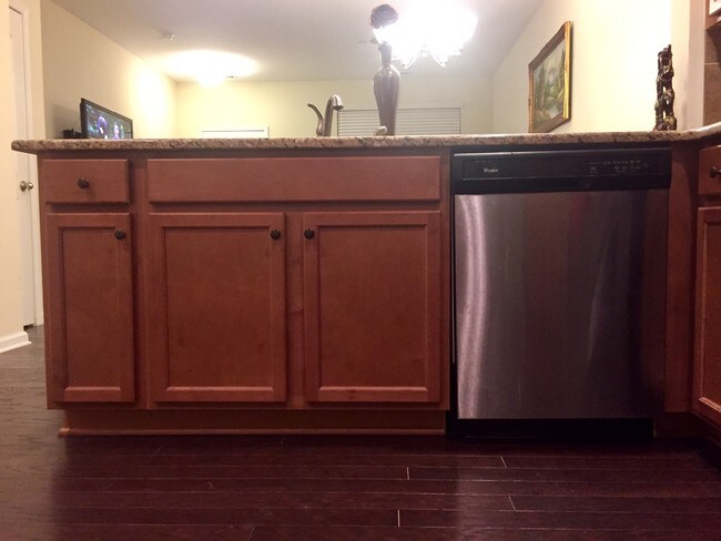 Dishwasher - 218 Constitution Dr