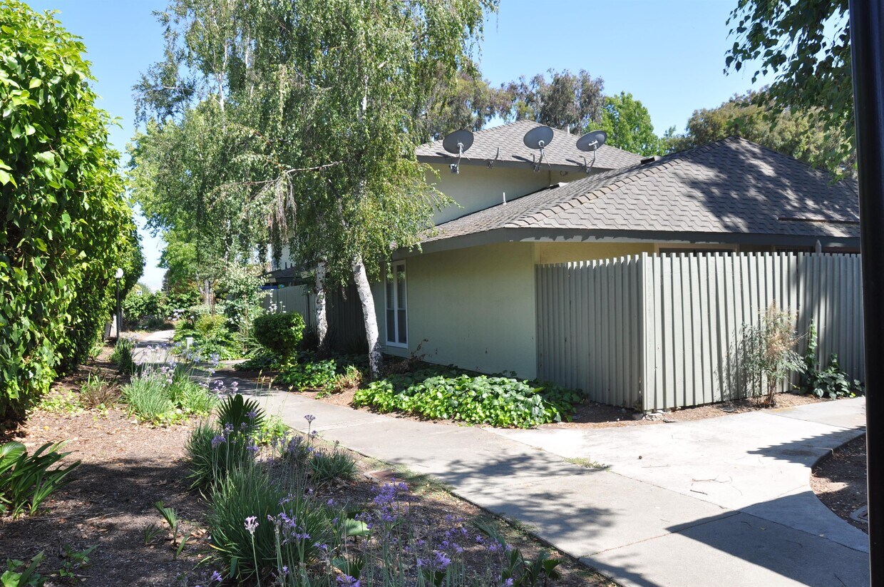 Foto principal - 5572 Magnolia Terrace