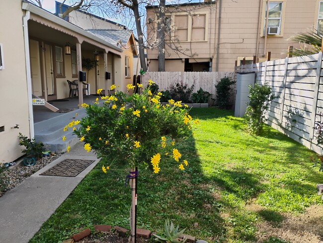 Exterior front yard - 624 Chestnut St