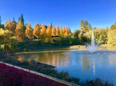 Foto del edificio - 9728 NW Miller Hill Dr