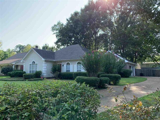 Building Photo - 157 Trace Ridge Dr