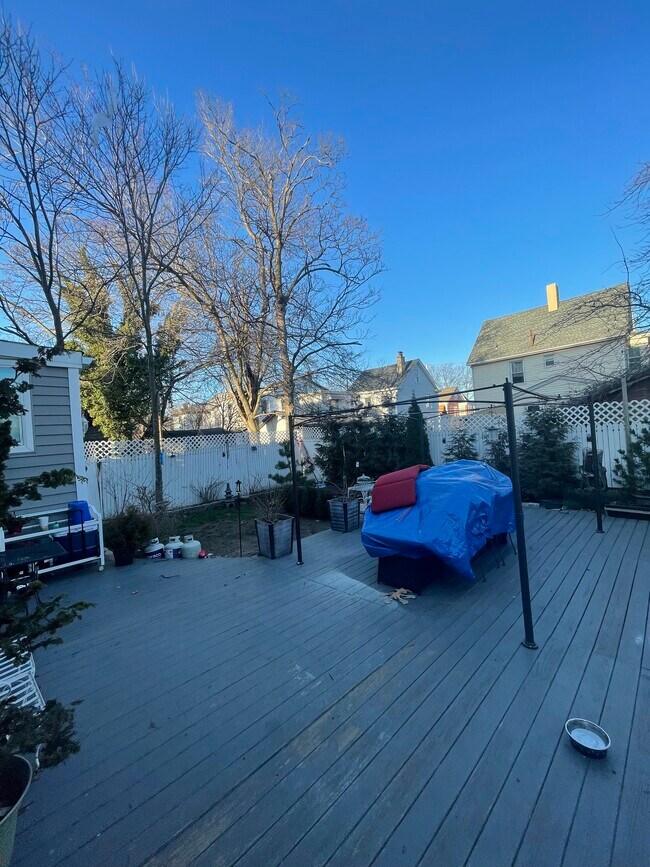 Backyard - 245 S 2nd Ave