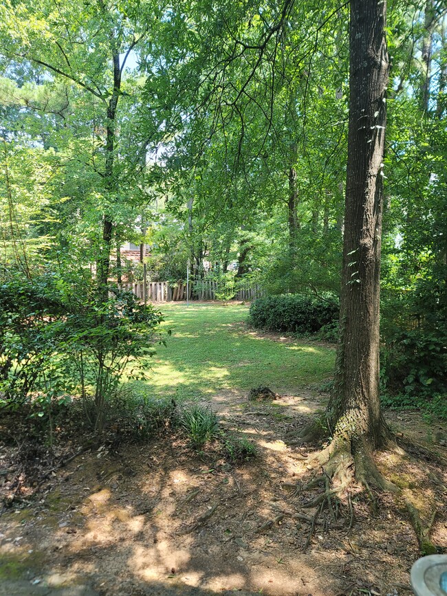 Side and back yard - 2134 Montreat Way