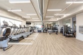 This fitness center is a single-level space designed to accommodate a comprehensive range of workout activities. The flooring throughout is a light wood-style material that is both durable and visually clean, contributing to a bright, open atmosphere. Exposed industrial-style ductwork runs along the ceiling, complementing the recessed and linear fluorescent lighting that evenly illuminates the entire space.

The cardio zone is well-stocked with a row of TRUE-brand treadmills, elliptical trainers, and stationary and recumbent bikes, all positioned along the windowed perimeter wall. Large windows allow natural light to filter into the space while offering outside views, enhancing the overall workout experience. Wall-mounted televisions are positioned for visibility from the cardio equipment.

The strength training area includes a multi-station cable machine, an adjustable weight bench, and a dumbbell rack with a full mirror wall behind it, allowing users to monitor their form. A dedicated functional training zone houses stability balls and medicine balls for flexibility and core work. The open central floor area provides ample room for stretching, bodyweight exercises, or group fitness activities, making this a versatile and fully functional fitness facility.