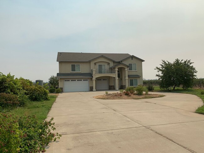 Building Photo - Executive home surrounded by vineyards in ...