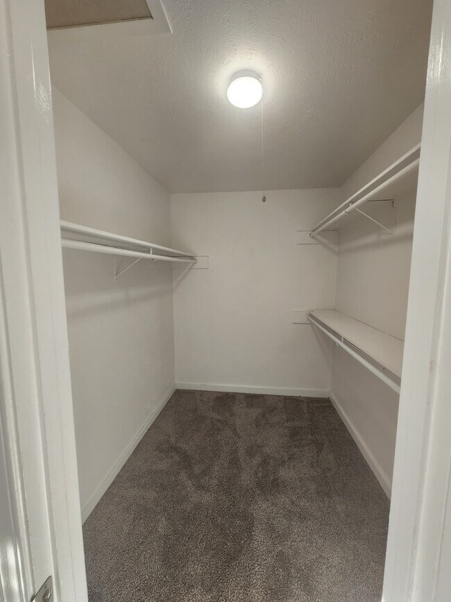 armario del dormitorio principal - 210 Trellis Pl