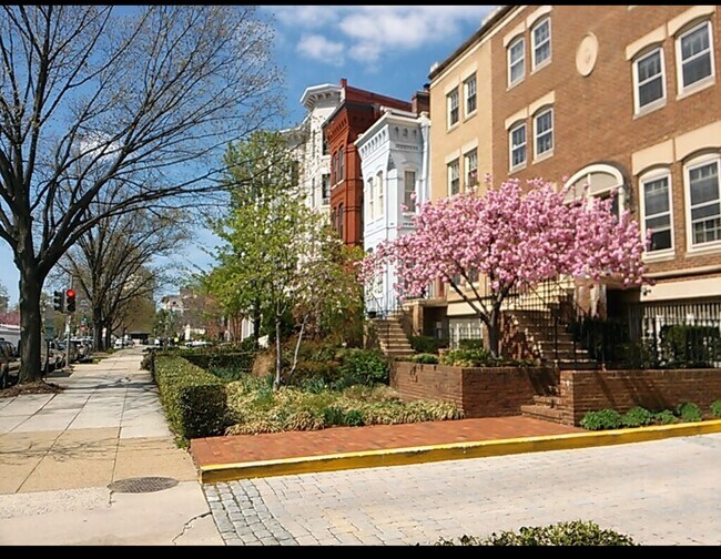 Foto del edificio - 236 Maryland Ave NE