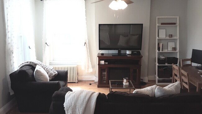 BRIGHT & SUNNY LIVING ROOM - 901 Park Ave