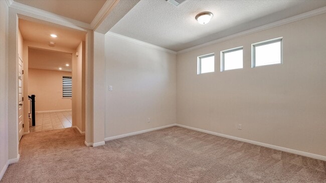 Foto del edificio - Redland Rd/281 Sienna Subdivision