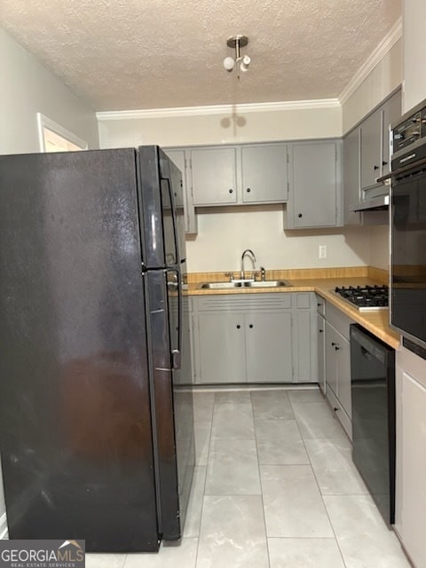 Building Photo - 135 Preston Pl