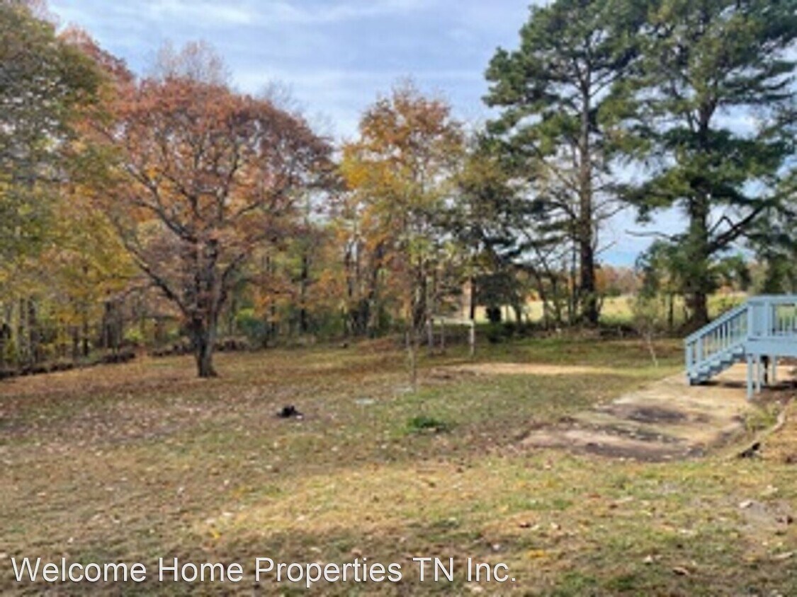 Primary Photo - 3 br, 2 bath House - 3703 Alessio Rd