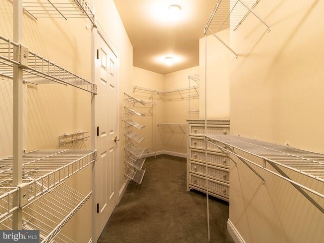 Building Photo - 10 Wellington Pl