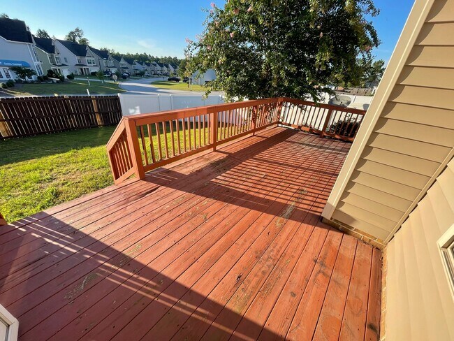 Backyard - 14 Marquis Dr