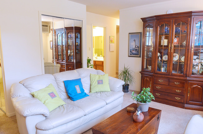 Living room - Somerset Manor East Apartments