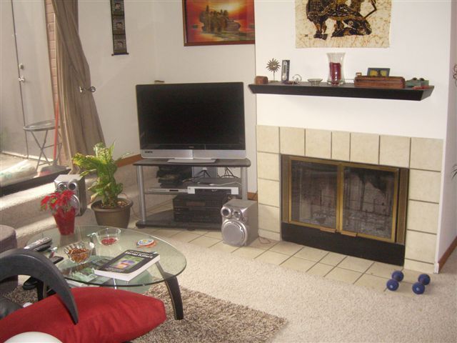 Fireplace - 824 Walnut St