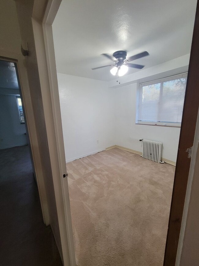 Interior Photo - Carol Shamrock
