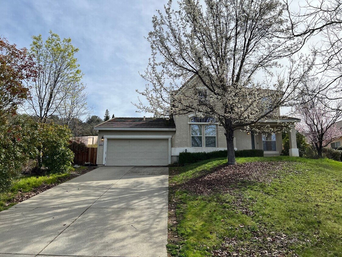 Primary Photo - Beautiful Home in Cameron Park with Pool a...