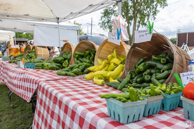 Spend a sunny afternoon at the local farmers market in Holly.