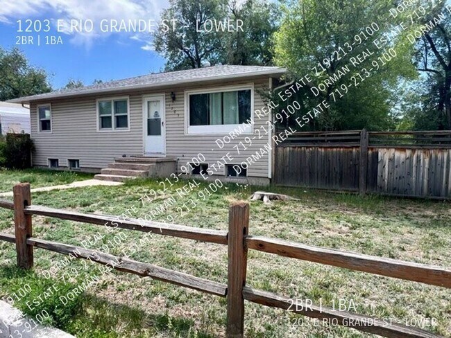 Photo - 1203 E Rio Grande St Apartment
