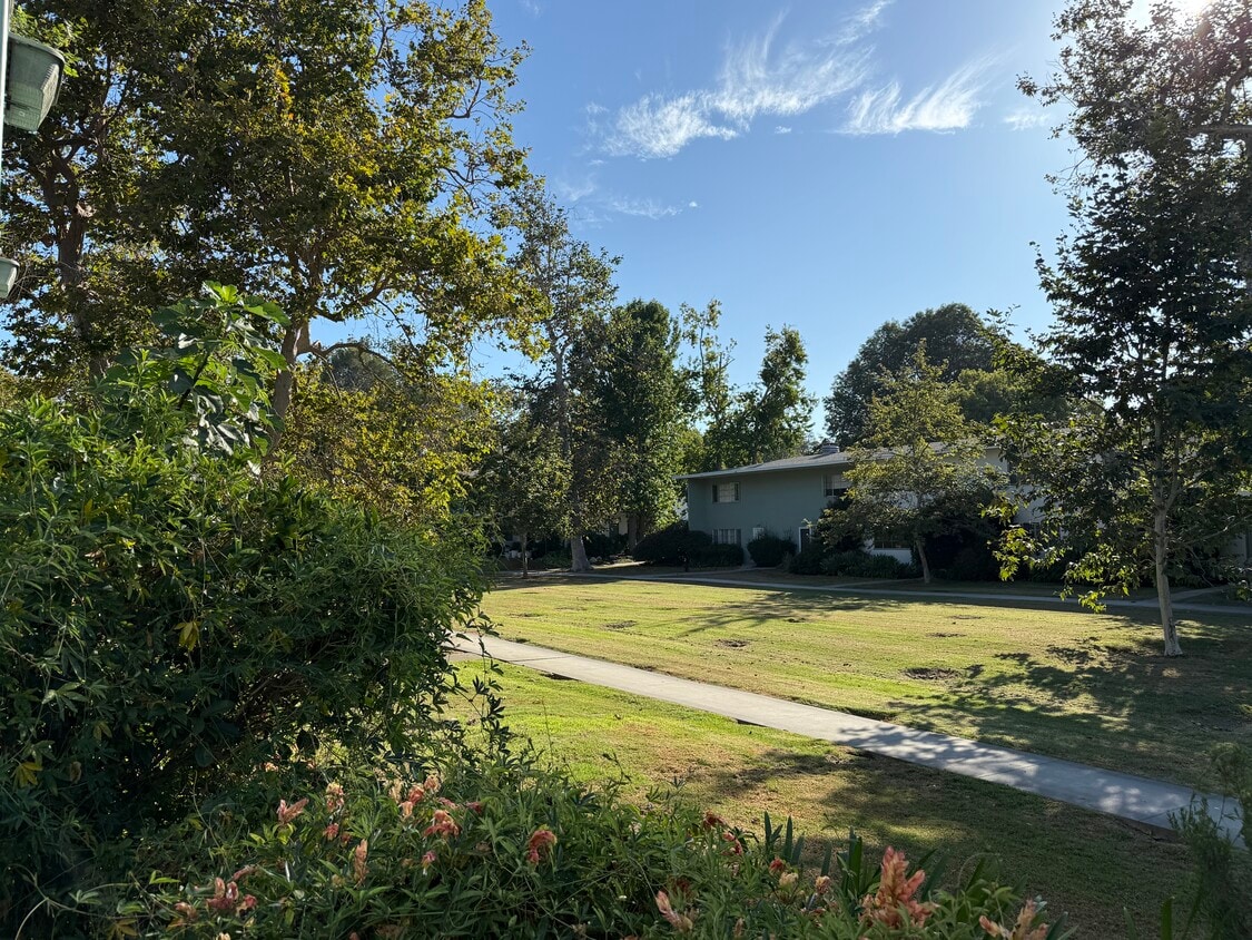 tViews from the front door - 5183 Village Grn