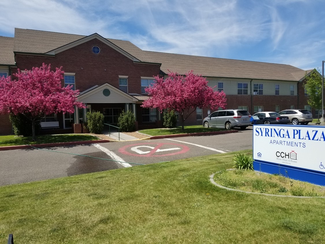 Primary Photo - Syringa Plaza Apartments