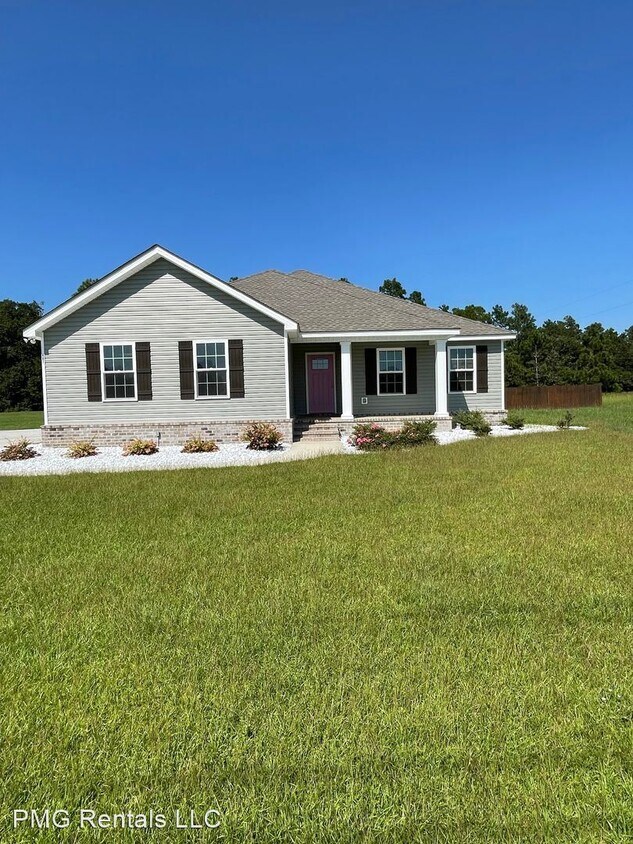 3 br, 2 bath House 491 Coley Boyd Rd. House Rental in Statesboro