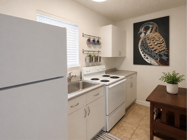 Foto del edificio - 509 Live Oak St