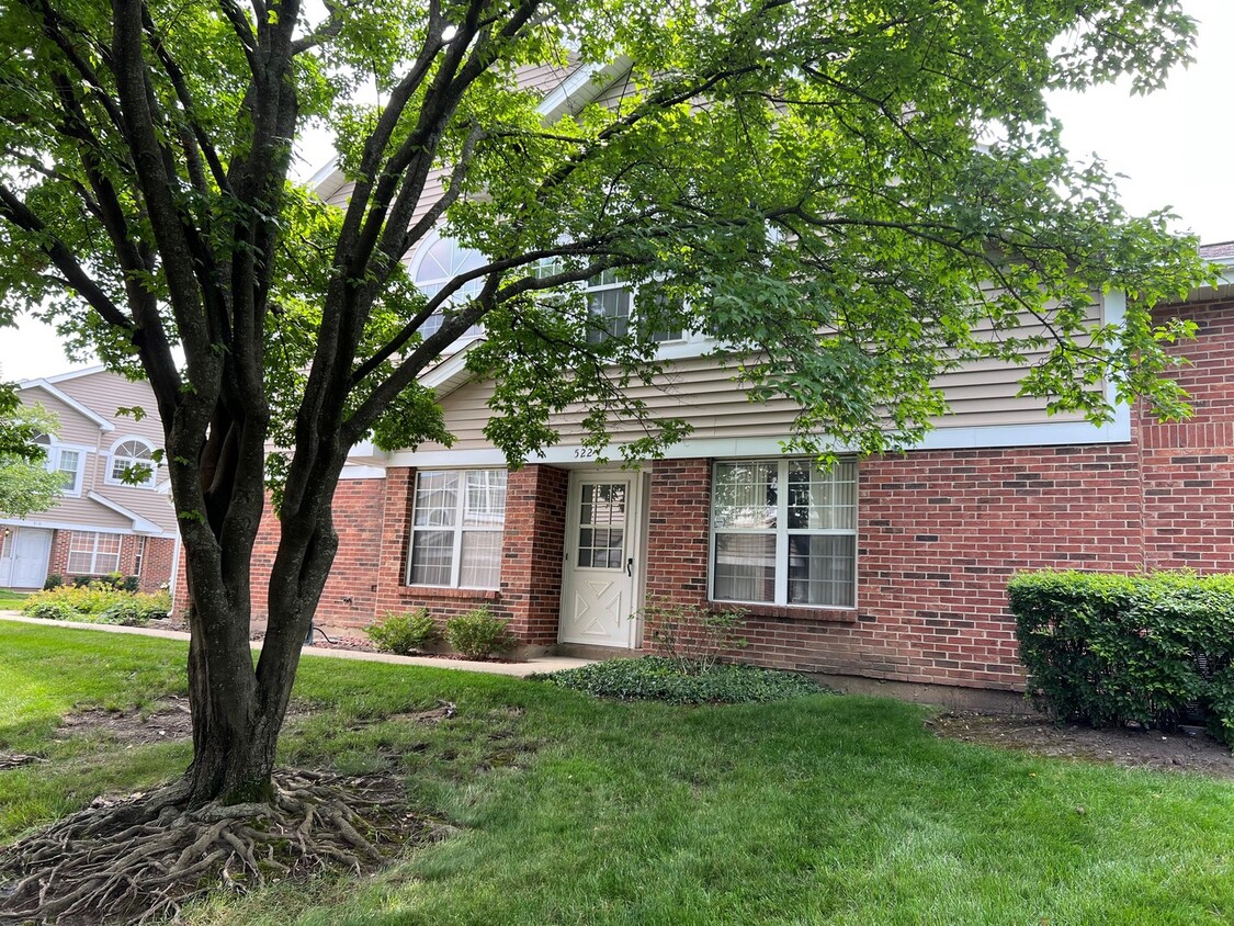 522 W Happfield Dr, Arlington Heights, IL 60004 Townhome Rentals in