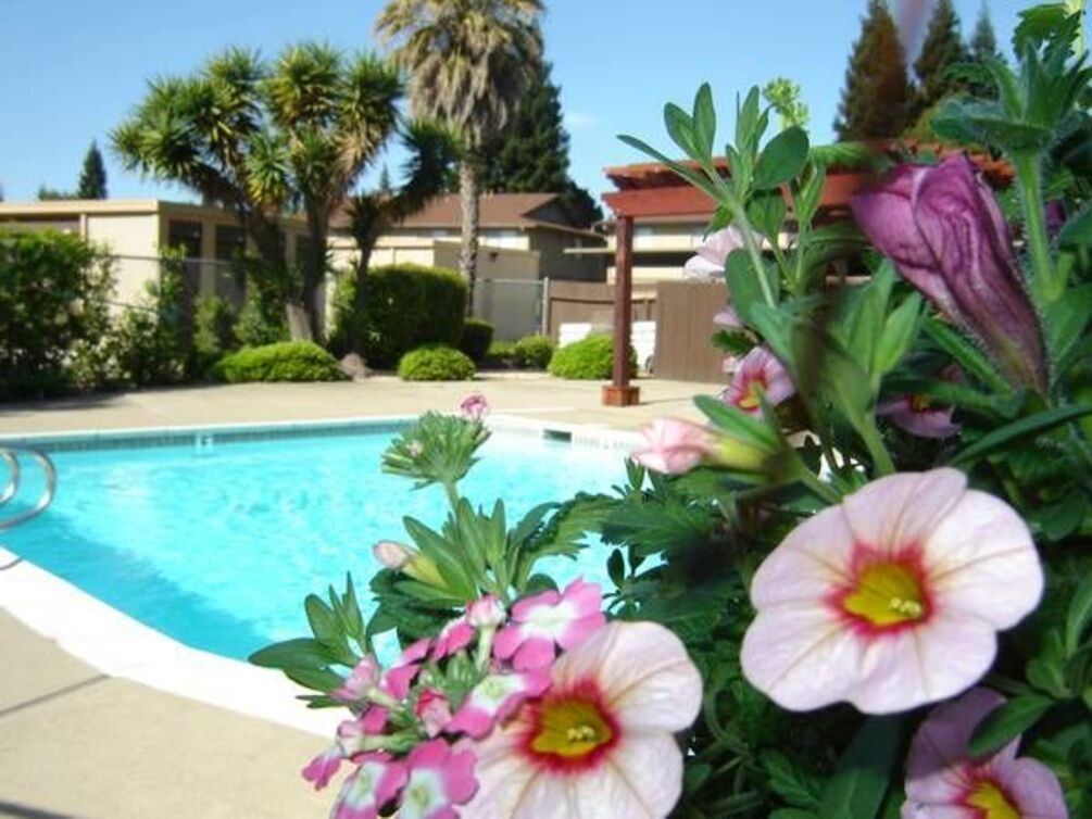 The Place Apartments Apartments in Yuba City, CA