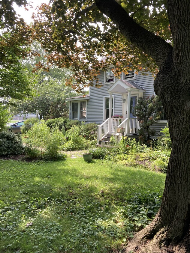 Primary Photo - 241 State St