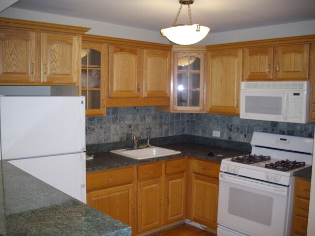 Kitchen - 1960 N Lincoln Park W